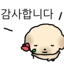 해피함하우스 네이버블로그