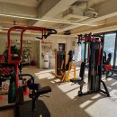 스타빌리 이미지