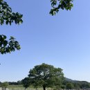 경주 당일치기 가족여행 코스 추천 주상절리, 불국사토함산밀면, 첨성대, 금리단길, 빵지순례 완주!