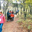 별빛스테이 이미지