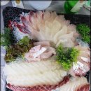 속초중앙시장맛집 호남횟집 다녀온 후기