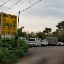 김주경농장 네이버블로그