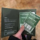 별빛정원 | 가평 더스테이 힐링파크 커피트리 호텔&amp;별빛정원&amp; 예식하객 후기 1탄💍👰🏻‍♀️💗