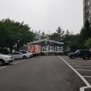 푸른솔공인중개사사무소 이미지