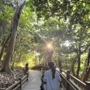 하얀등대노래연습장 | [전남/여수] 7개월 아기랑 오동도 여행 (동백열차/음악분수/오동도 등대/등대 카페/유모차길/수유실)