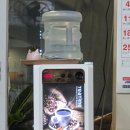 늘푸른 정육식당 이미지