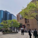 어제의 점심...본가네국밥(구로점) 이미지