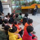 새빛솔금유치원 이미지