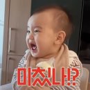 들깨품은오리향 | 2024년 3월 일상
