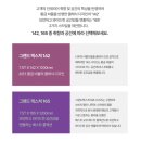 비비드애비뉴