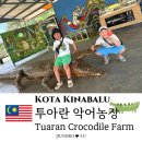 성지농장 | [코타키나발루 초등학생 가족여행] 악어농장 Tuaran Crocodile Farm / 내돈내산 아이와 셀프 투어
