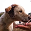 백구보건지소 이미지