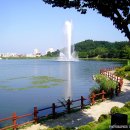 유로무도장 Daum카페