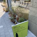 5127 | 마곡맛집 / 스몰스파이시 올리브 솔직 후기｜메뉴·가격·분위기 총정리