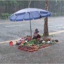 폭우 속 노점 할머니... 이미지