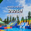 도솔광장 잔디광장 | 2025 도솔공원 물놀이장 리얼후기! 가족과 함께 즐기는 천안 도솔공원 무료 물놀이장 + 신나는 마술쇼까지!