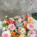블랑드플레르 이미지