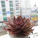 고고싱 - 세종특별자치시 | 고고싱