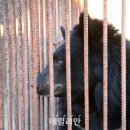 김성환 농장 이미지