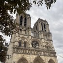 A Monster in Paris | [이방인 블로그] Julie in Paris, Day3