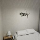 스테이 루나 | 강릉게스트하우스 스테이루나 별빛휴식기