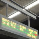 (주)하이떼루로또 | 떼용이네 집들이가 내용의 8할인 미룬이 블로그🌨️☃️