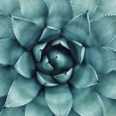 순마음의원 이미지