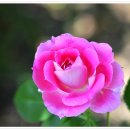 보개도서관 이미지