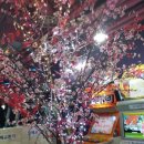 우아한 오락실 이미지