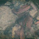 불모산 저수지 내 이미지