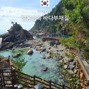 CU강릉광장점 | 정동심곡 바다부채길 입장료 할인 주차장 소요시간 정동에서 심곡 버스 회귀 후기