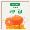만나에프앤비