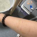 제천 그레이스 동물병원 | [후쿠의 문제행동] 그레이스 고양이 동물 병원 상담 1회차 후기