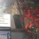 서초대로22길 16 이미지