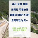 이승한농장 네이버블로그