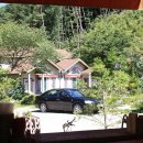 정원카페 이미지