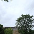 마로니에공원 | 혼자 산책|흐린 날 마로니에공원 방문 후기