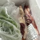백수커피 | 진짜 별볼일없는 백수체험판 후기(KBO카드/동산회관/커피)