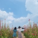 피플즈81 | [경주] 3박4일 여행1,2 [ 987피플즈,시즈닝,대릉원,첨성대,빠뜰리에,교촌마을,월정교,경주중앙야시장]