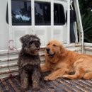 재복농장 이미지