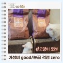 가성비 좋은 고양이 모래를 찾는다면 또바기 카사바&벤토 혼합 좋아요[내돈내산]