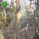 장고개공원 이미지