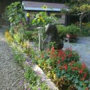 호숫가 펜션 이미지