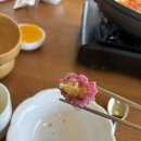 킹스크린그늘집 | 구미 선산 cc 에서 봄 라운딩 (골프존카운티 선산) / 잔디 상태/ 공략법/ 페어웨이/ 그늘집(24년 3월)