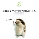 스토어와이(STORE.Y) | 테슬라YL 선주문하고 Tesla 부산 스토어 다녀오기 (YL 실물 후기)