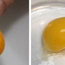 푸른들농장 이미지