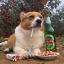 성가방앗간 | 자취Girl의 삶🥵🙏