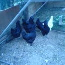 우승농장 이미지