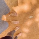 아주나유치원 | 천안 아산 맨발 걷기 좋은 장소 다녀온 후기. 용곡공원(부엉공원), 맨발 산책시 주의점,