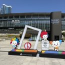 자동음성통보 | 12년 만의 좌충우돌 우당탕탕 1박2일 일본 대마도 상륙 기록